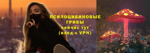 спайс Михайлов