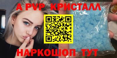 гашик Донской