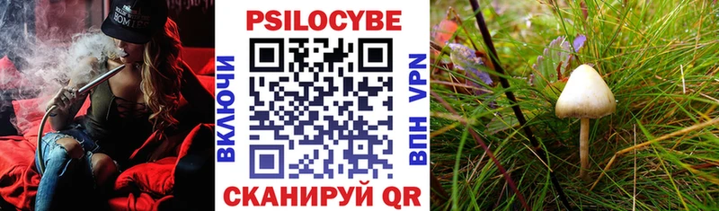 blacksprut tor  Чебоксары  Псилоцибиновые грибы MAGIC MUSHROOMS 