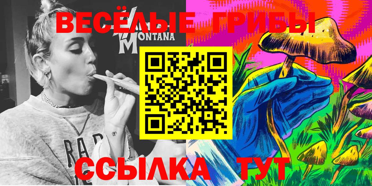 Псилоцибиновые грибы MAGIC MUSHROOMS  Чебоксары  Галлюциногенные грибы мухоморы 