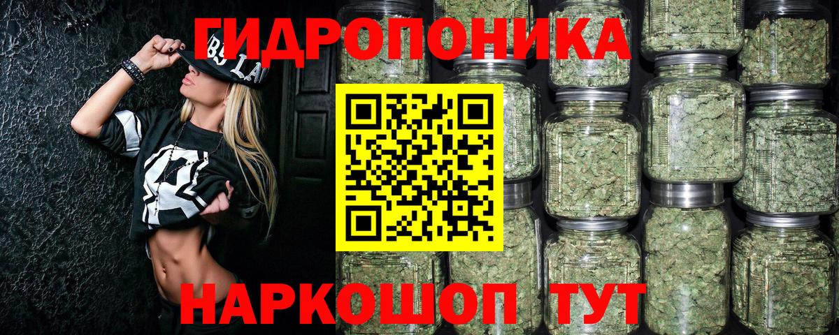 Бошки марихуана сатива Чебоксары